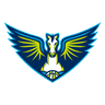 Dallas Wings logo