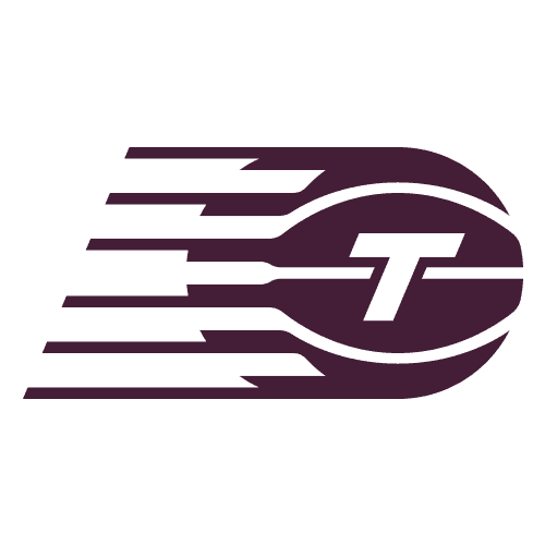 Toronto Tempo logo